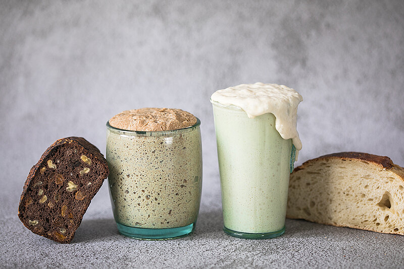 Brot und Sauertei in Gläsern vor grauem Hintergrund