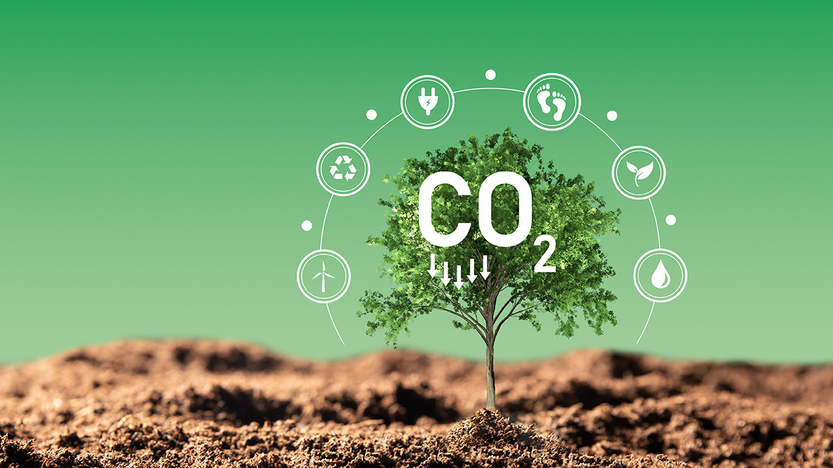 Aus der Werde Wächst ein kleiner Baus. Daraus steht CO2. Kreisförmig außenherum angeordnet sind Icons zum Thema Nachhaltigkeit