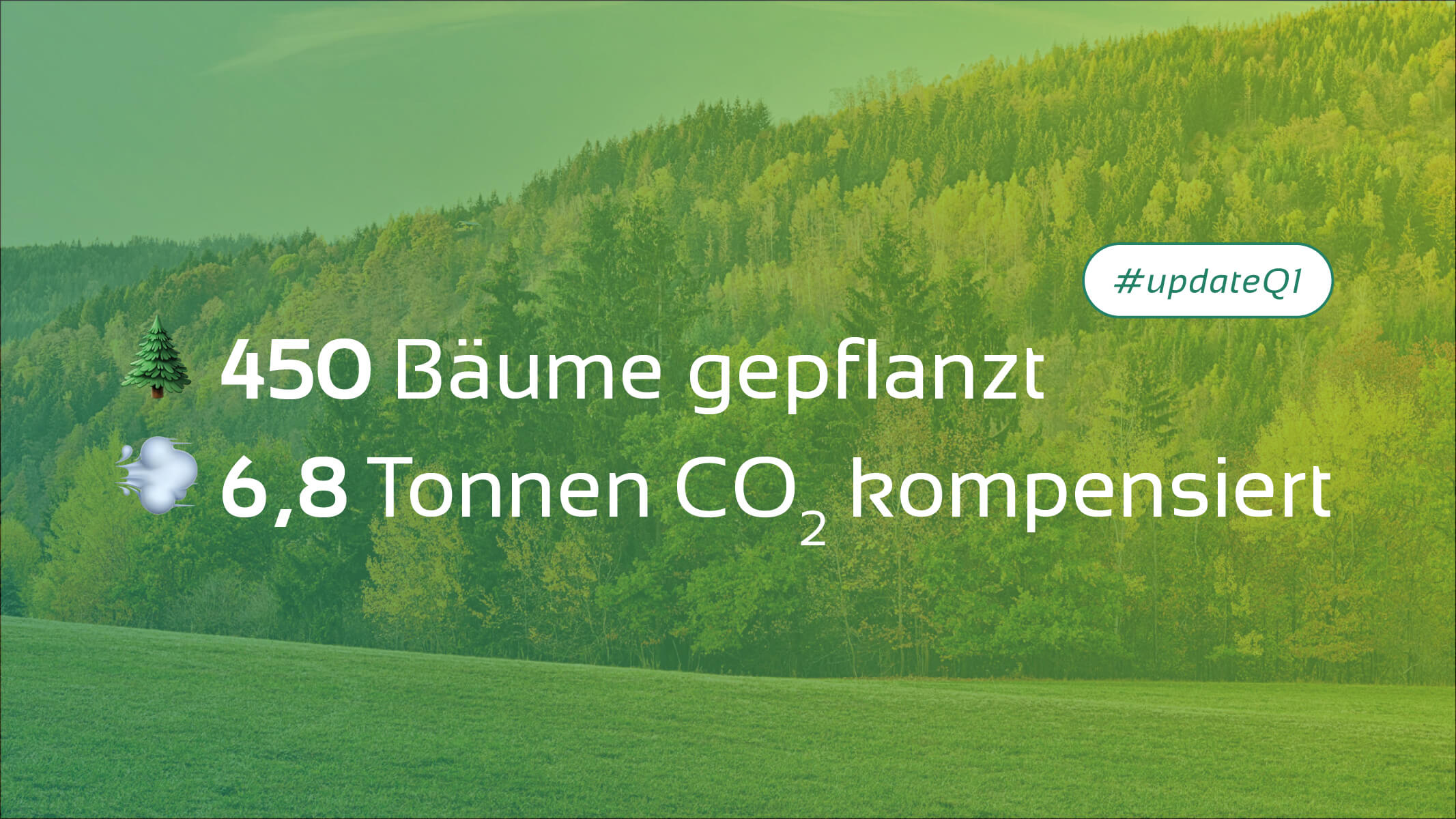 Im Hintergrund Wald, darauf die Daten des Q1: 450 Bäume gepflanzt, 6,8 Tommem CO2 kompensiert