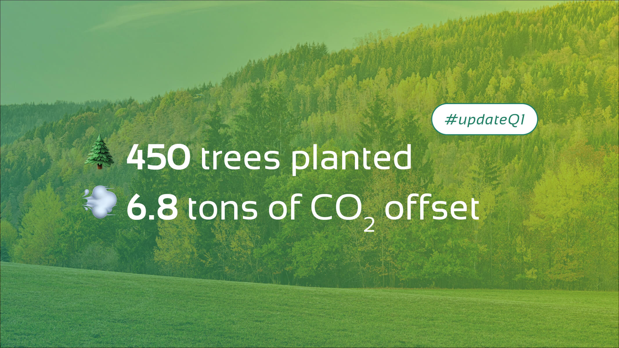 Im Hintergrund Wald, darauf die Daten des Q1: 450 Bäume gepflanzt, 6,8 Tommem CO2 kompensiert