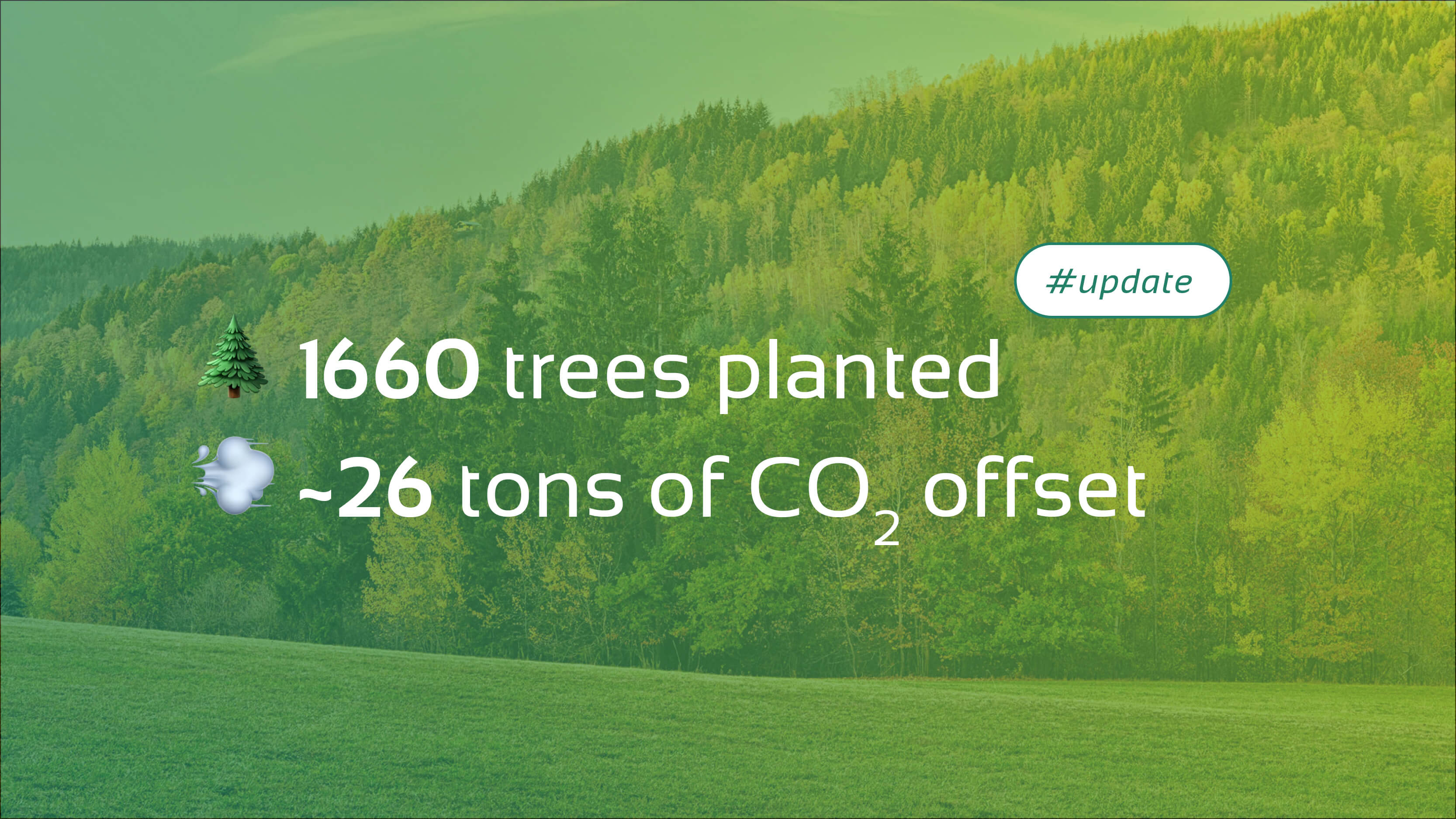 Im Hintergrund Wald, darauf die Daten des Q3: 1660Bäume gepflanzt, 26 Tonnem CO2 kompensiert