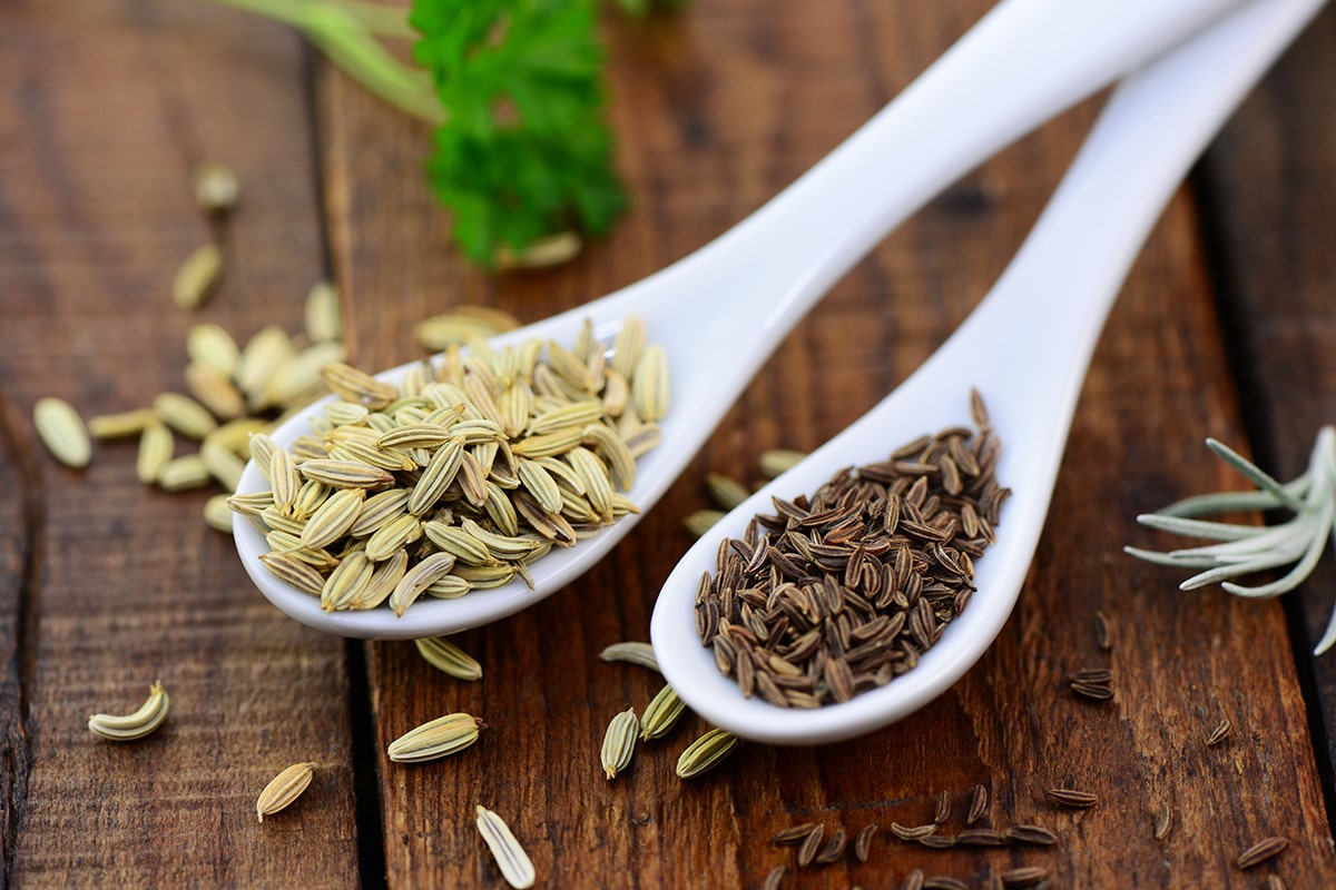 Fenchel und Kümmel auf weißen Löffeln