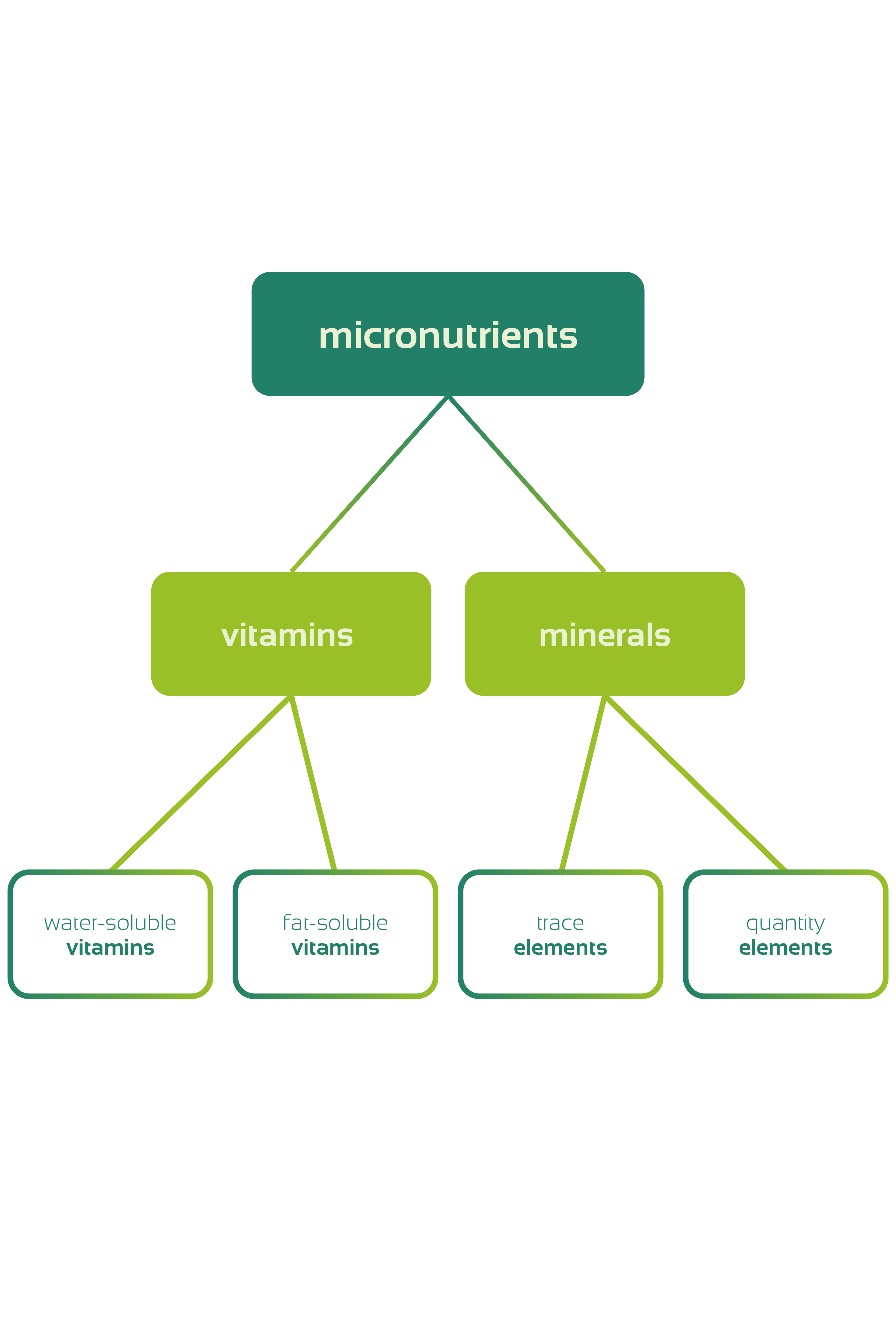 The mind map-style diagram divides micronutrients into vitamins and minerals, which are further divided into macronutrients.