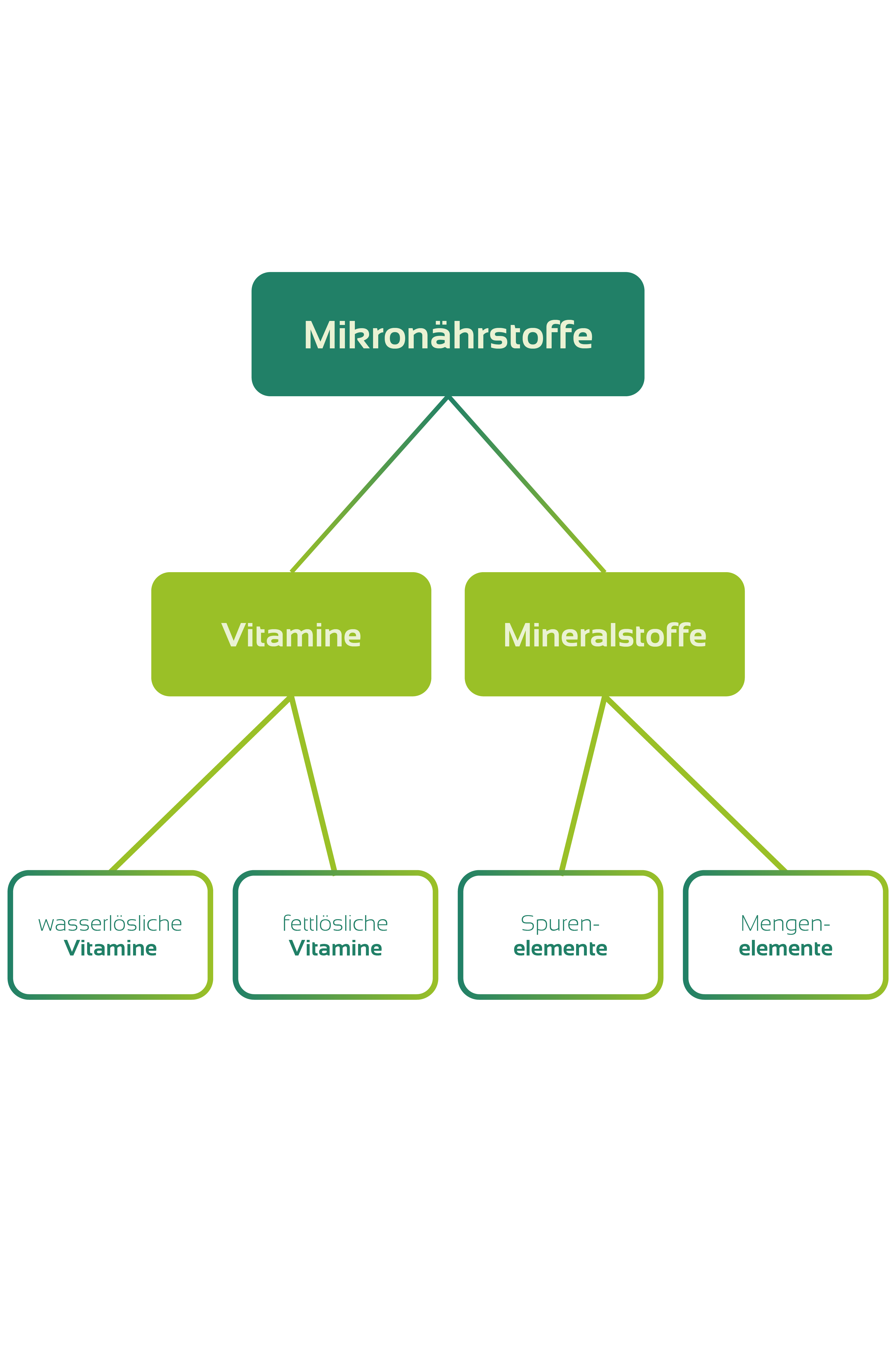 Diagram im Mindmap Stil teilt die Mikronährstoffe in Vitamine und Mineralstoffe und diese jeweils in die weiten Stoffe