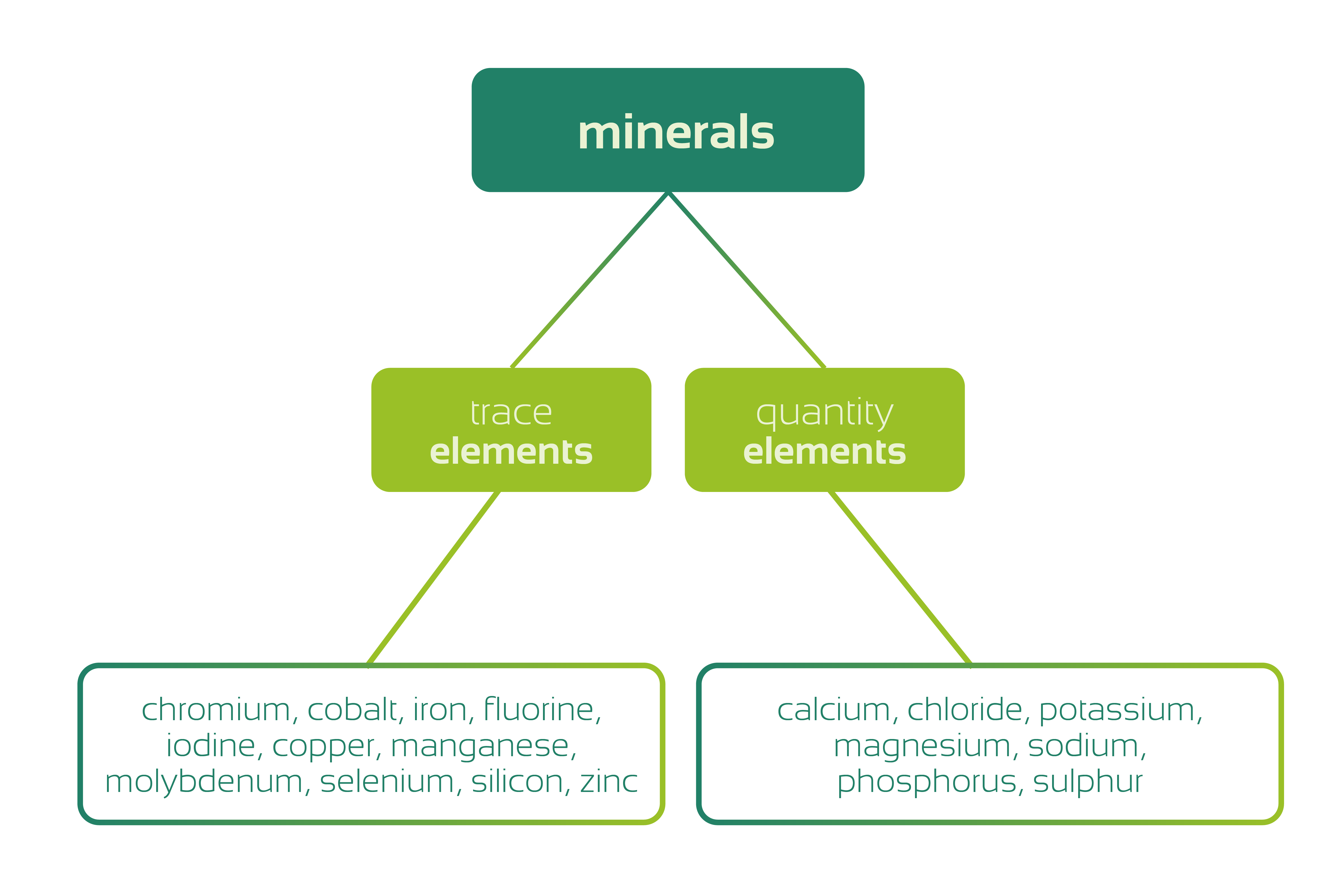 Classification of minerals into trace elements and bulk elements
