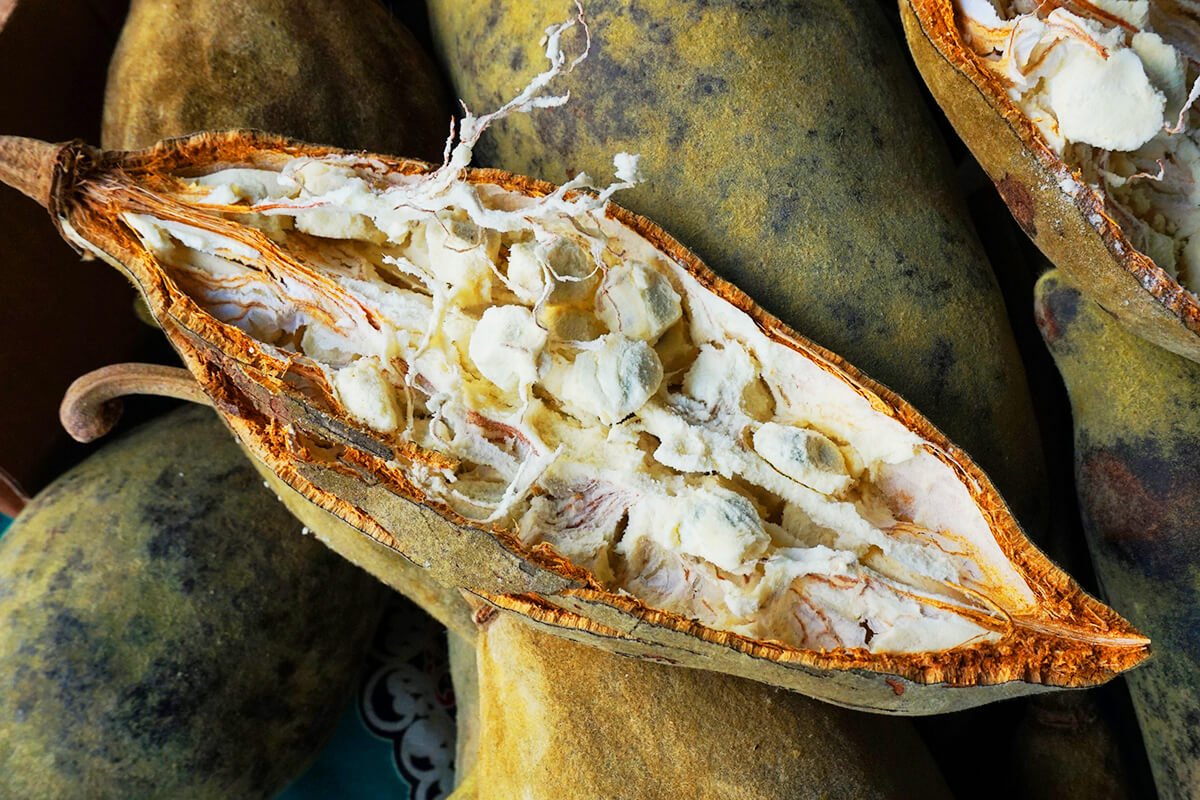 Aufgeschnittene Baobab Frucht 