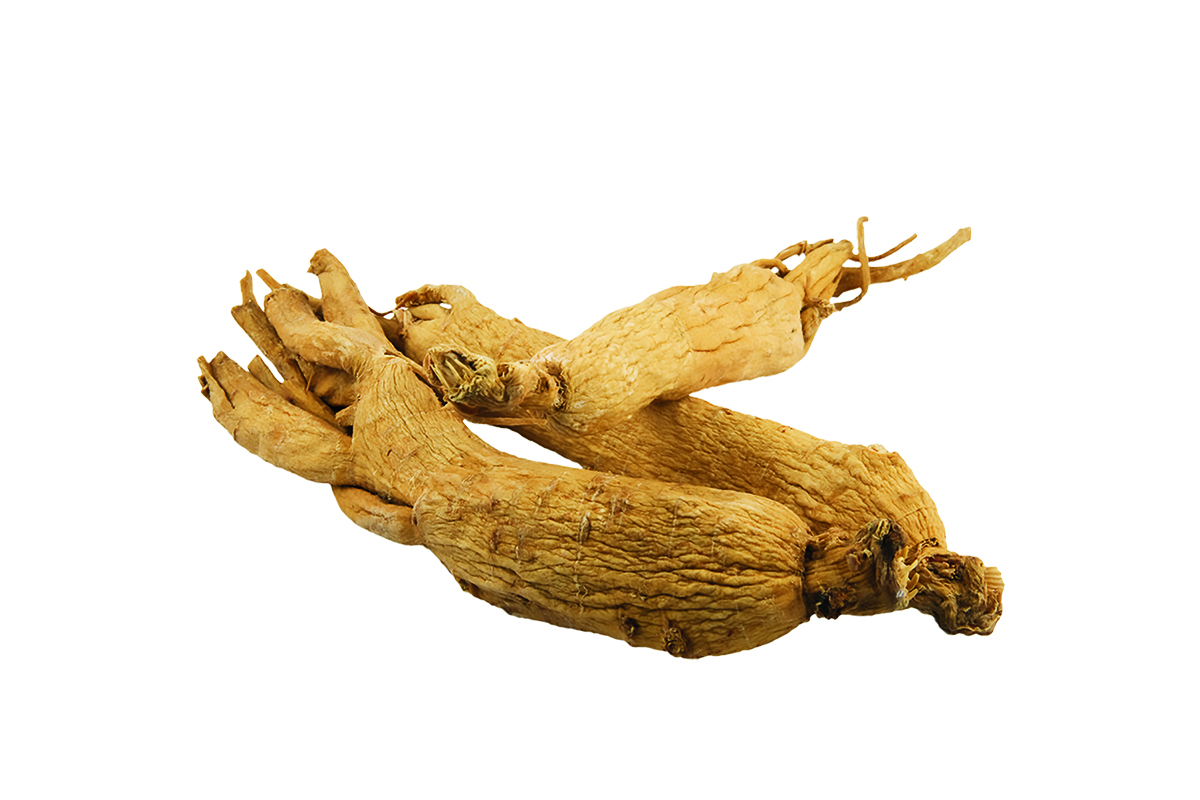 Ginsengwurzel
