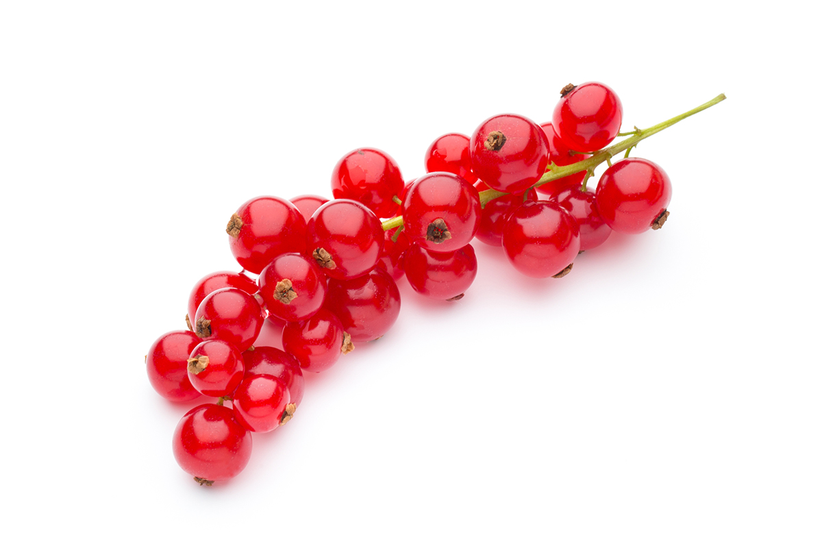 Johannisbeeren