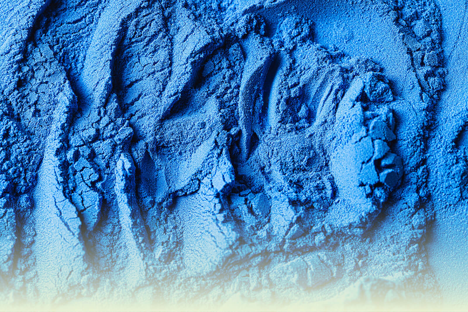 Blaues Spirulina-Pulver