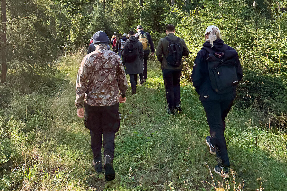 BHI-Mitarbeitende laufen durch den Wald