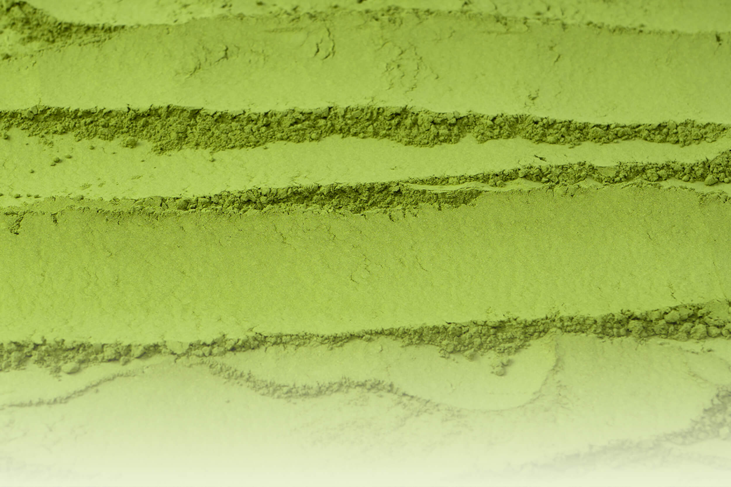 Grünes Matcha-Pulver