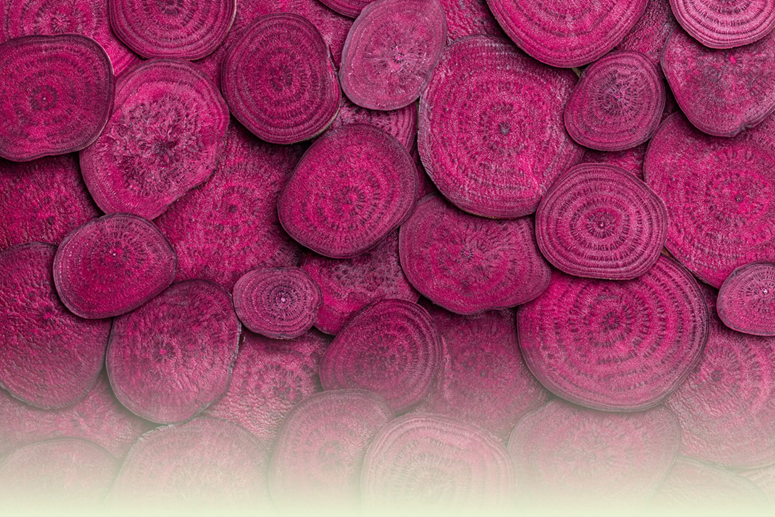 Rote Beete in Scheiben