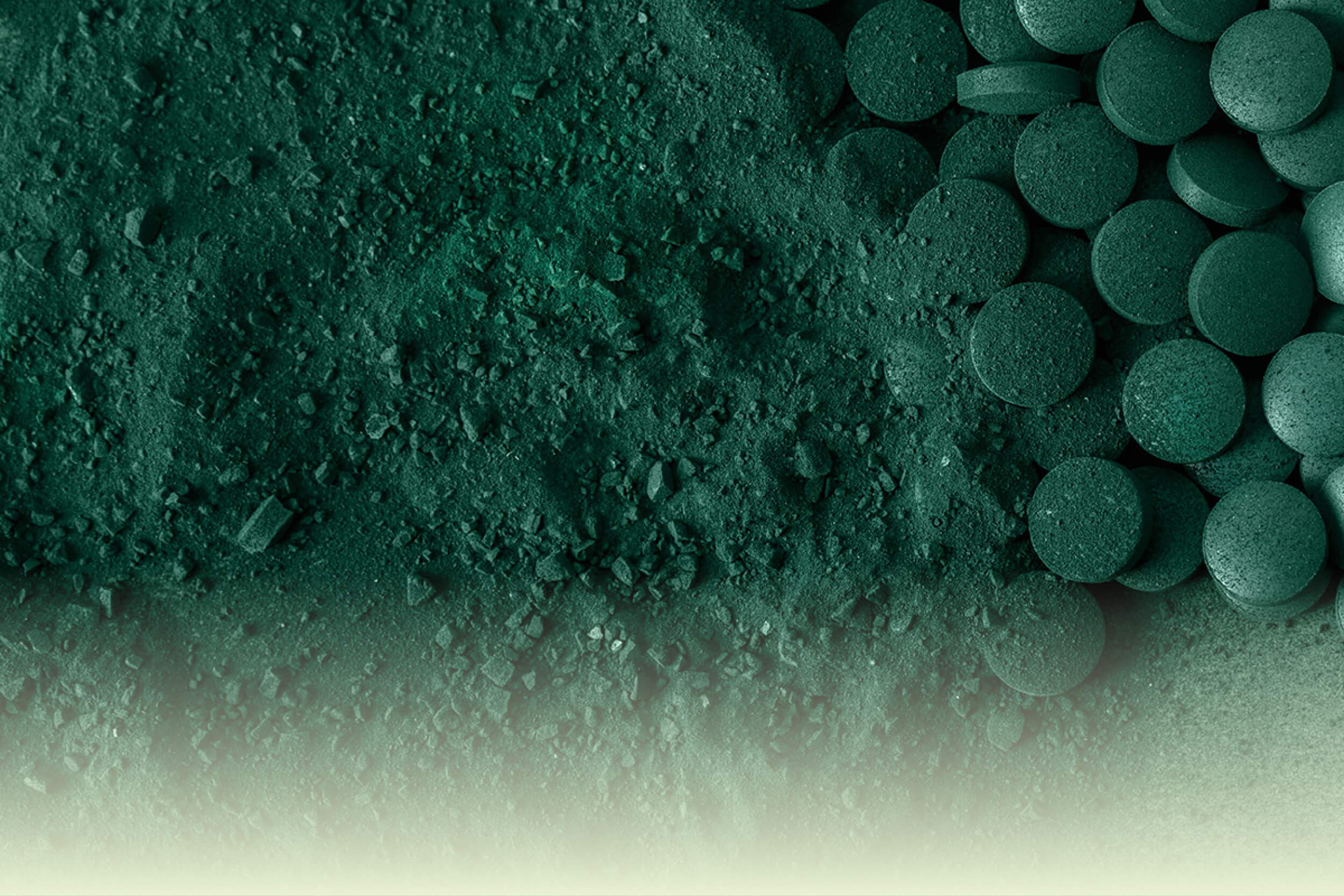 Grünes Spirulina-Pulver