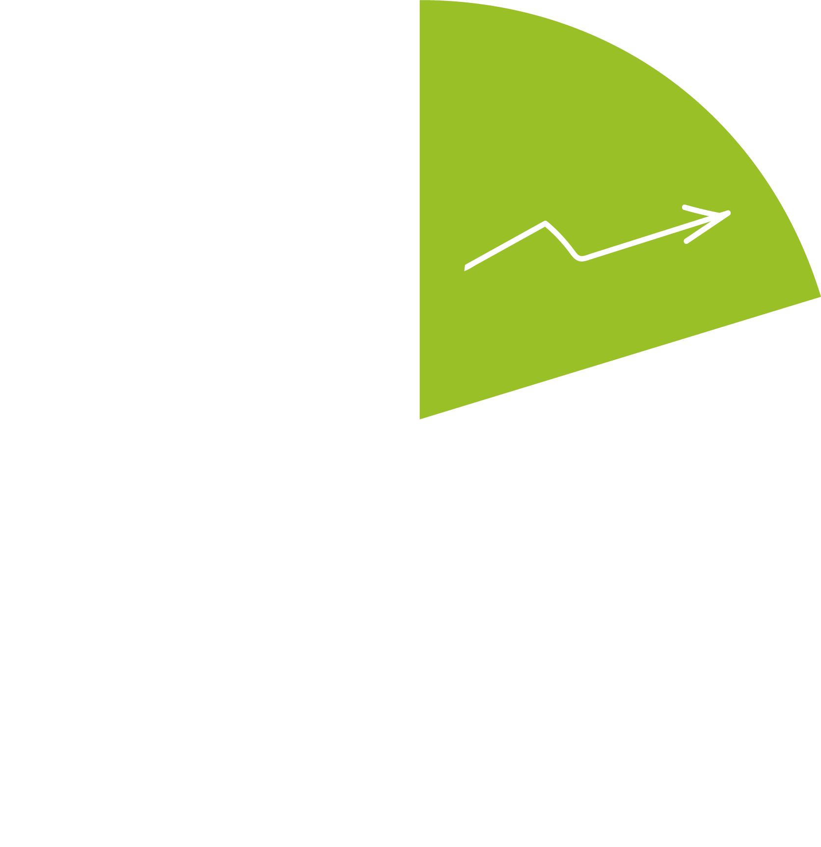 Icon Investitionsquote